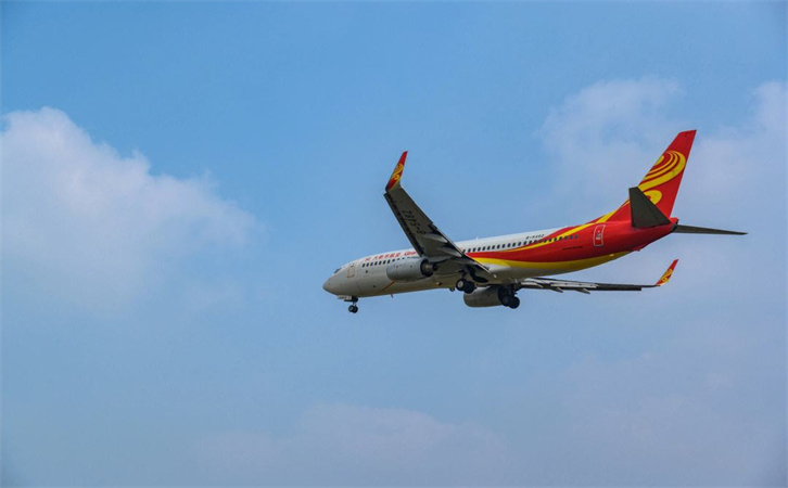 空运宠物活体(图3)